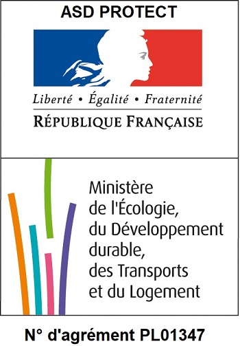 Entreprise punaise de lit
