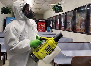 Entreprise désinfection cafard Paris