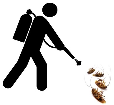 Les meilleures méthodes de désinsectisation