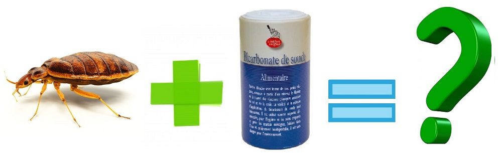 Punaise de lit traitement bicarbonate