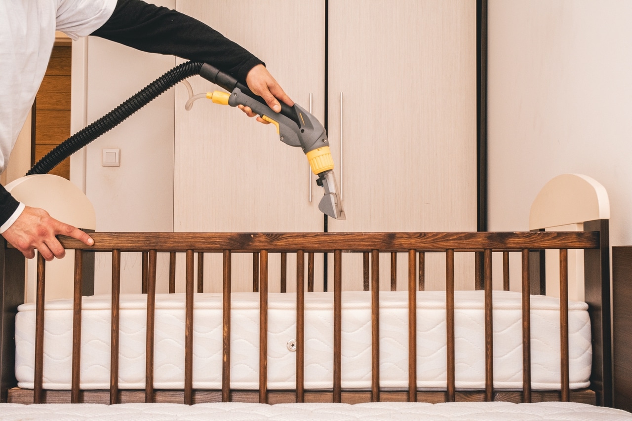 punaise de lit vapeur seche